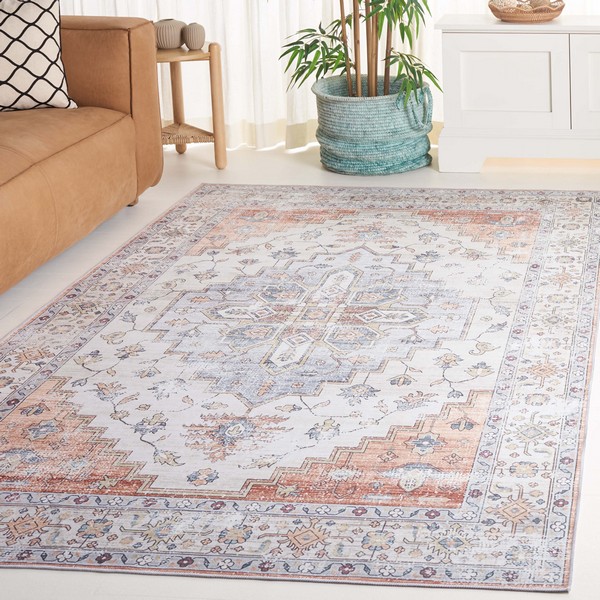 Rug ARZ209W Arizona Area Rugs by Safavieh