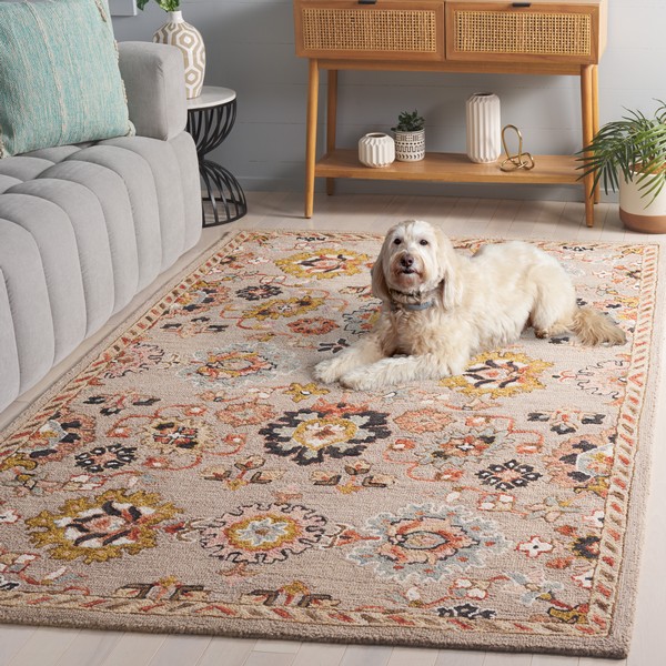 Rug APN152F - Aspen Area Rugs by Safavieh