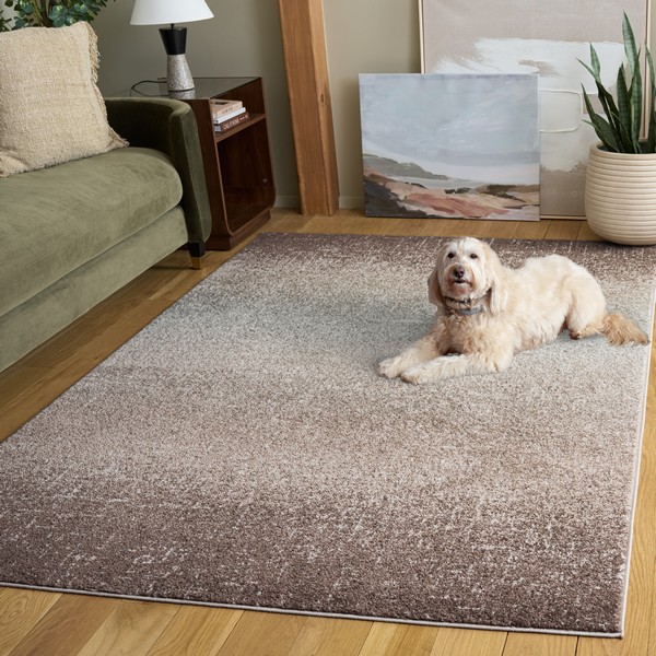 Transitional Rugs | The Madison Collection - Safavieh