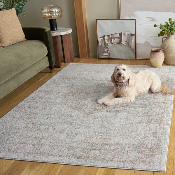 Transitional Rugs | The Madison Collection - Safavieh