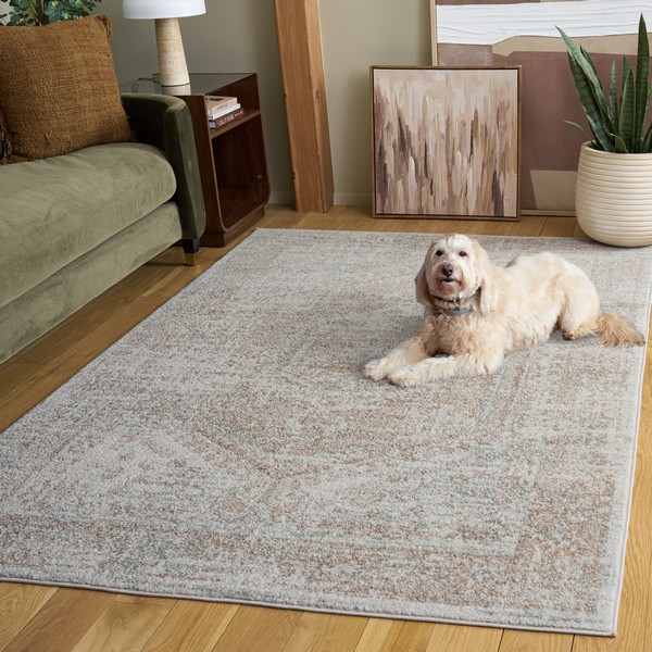 Transitional Rugs | The Madison Collection - Safavieh