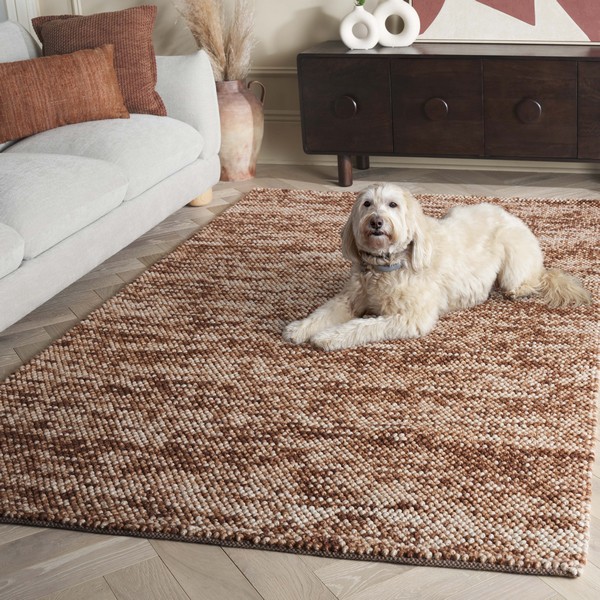 Brown rugs for living room, Bedroom and More Spaces at Safavieh