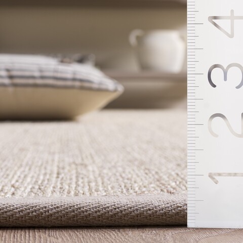 SAFAVIEH Natural Fiber Collection Accent Rug - 3' X 5', Natural & Taupe, Border Sisal Design, Easy Care, Ideal For High Traffic Areas In Entryway, Living Room, Bedroom (NF151C