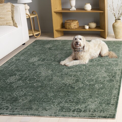 vod806y-5-dog-room.jpg